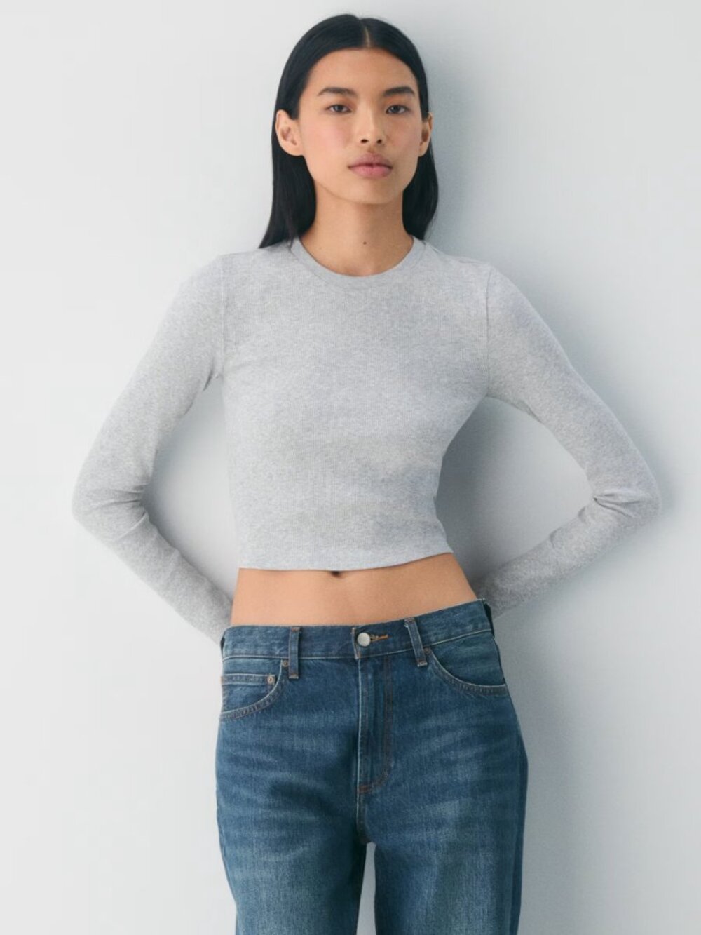 Aritzia Tna Ribbed Cropped Longsleeve Grey Size S